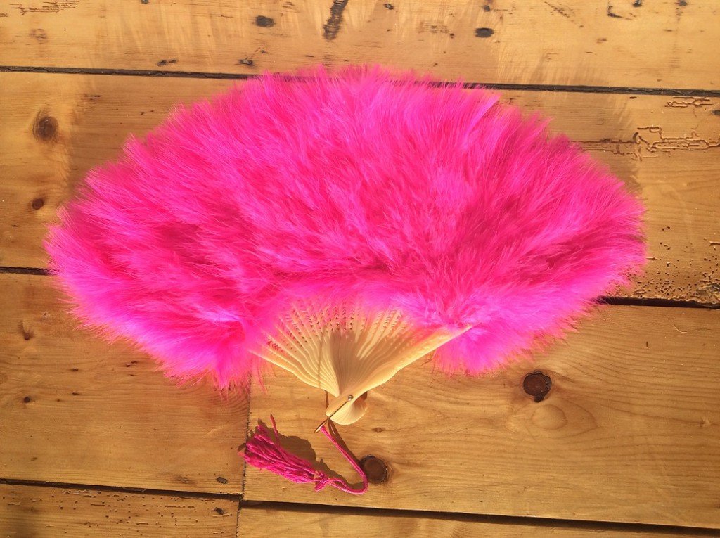 Fan Pink Feather - thefancyhen.ie