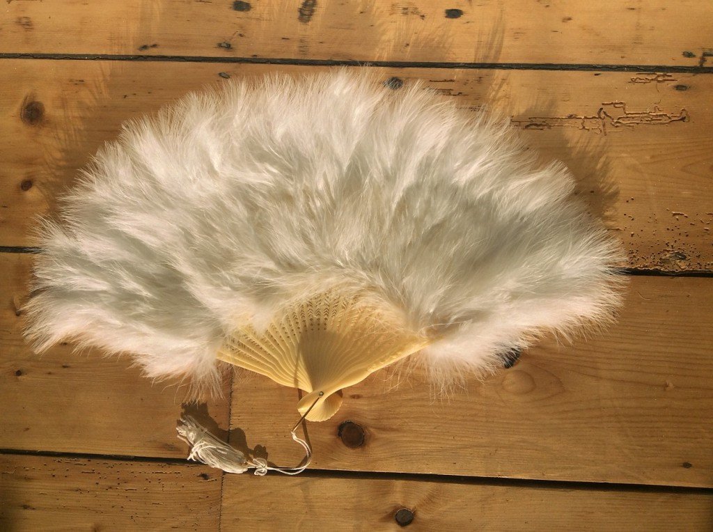 Fan White Feather - thefancyhen.ie