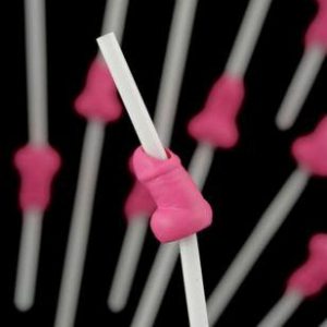 Willy Straws - thefancyhen.ie